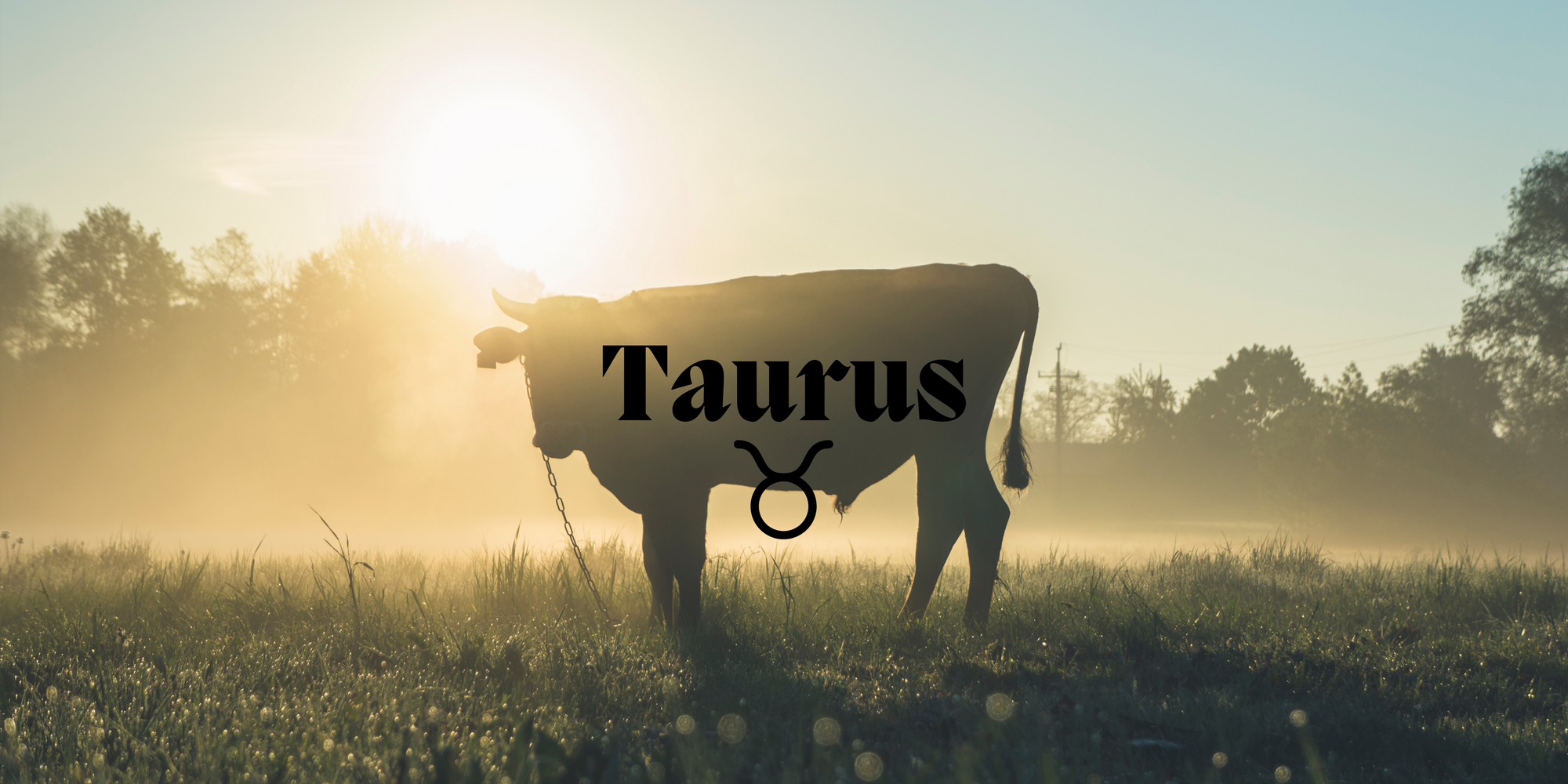 The Sultry Side of Taurus: April 20–May 20.