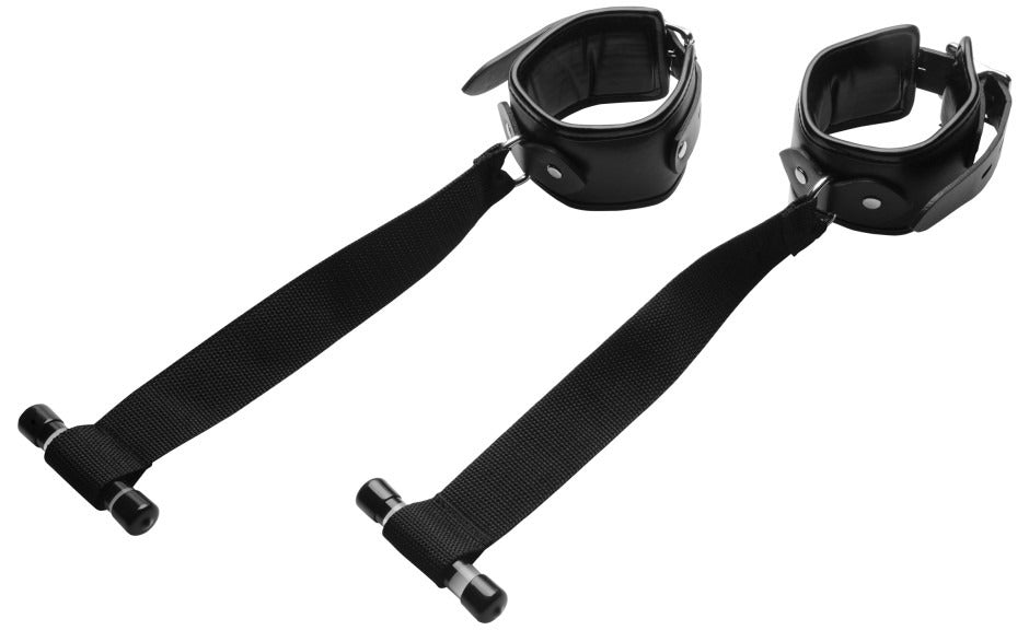 Strict Over The Door Restraint System