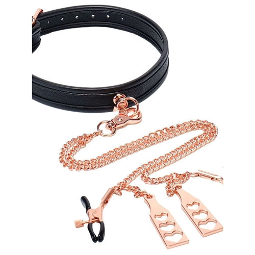 Collar and Leash