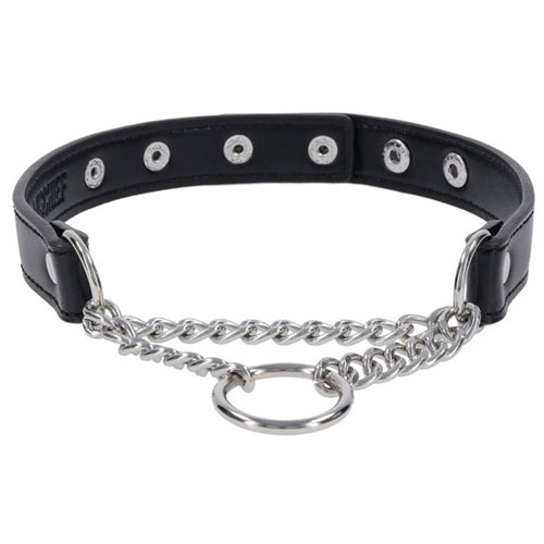 Sex and Mischief Shadow Day Collar