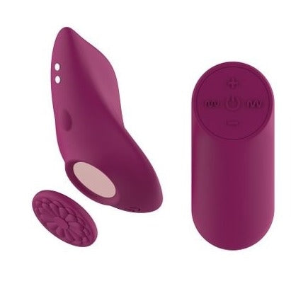 Passion Play Magnet Panty Vibe with Remote