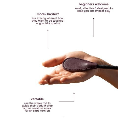 Abbie X Normal The Kink Kit - 4 Piece Bondage Kit