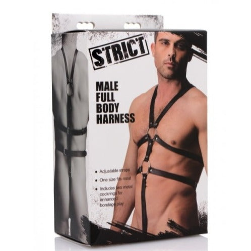 Male Full Body Harness