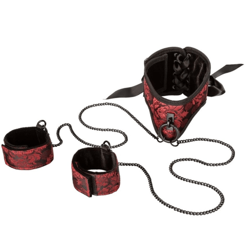aapd Fetish Scandal Posture Collar With Cuffs